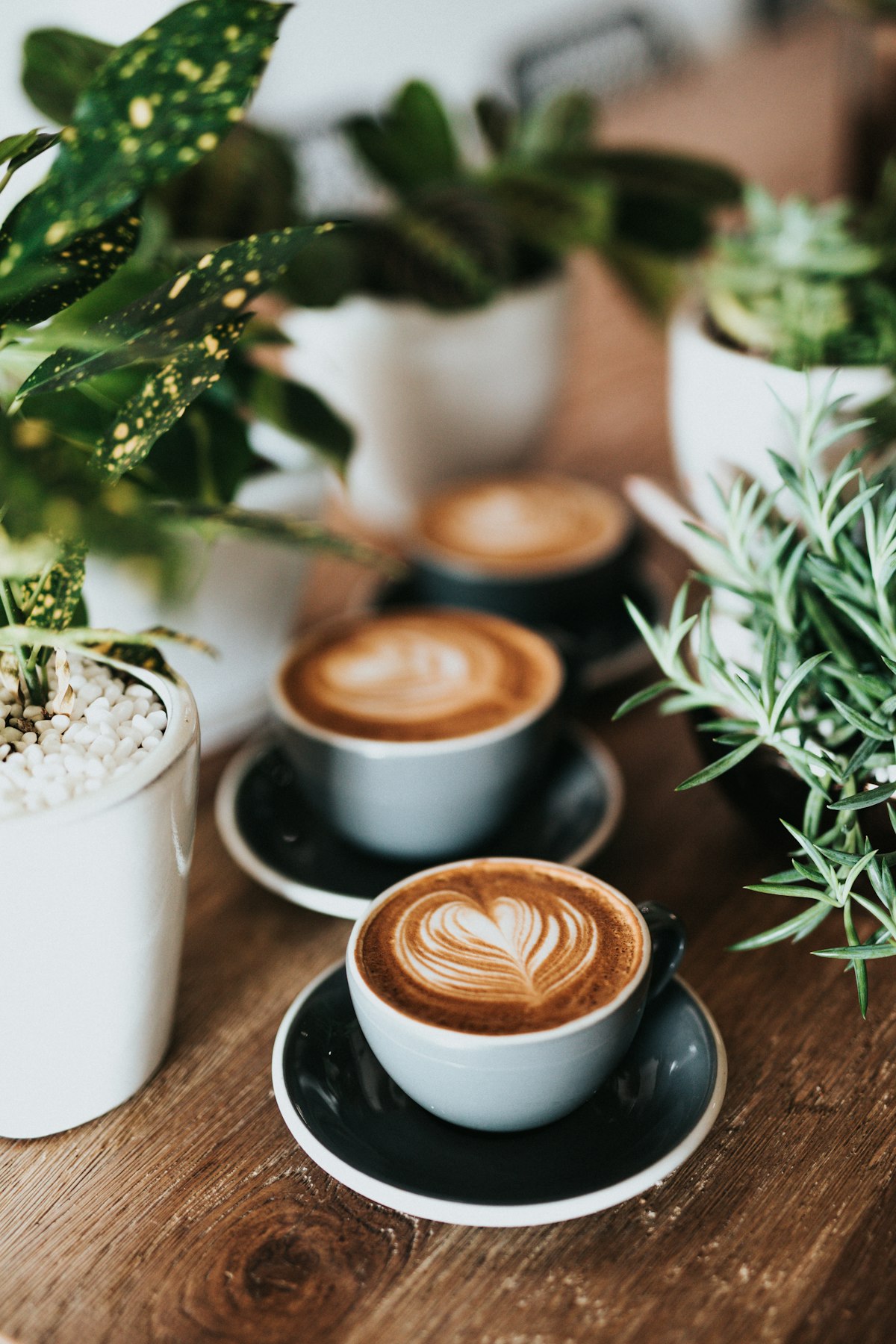 Coffee POS System: How to Choose the Best POS for Your CafÃ© in 2026